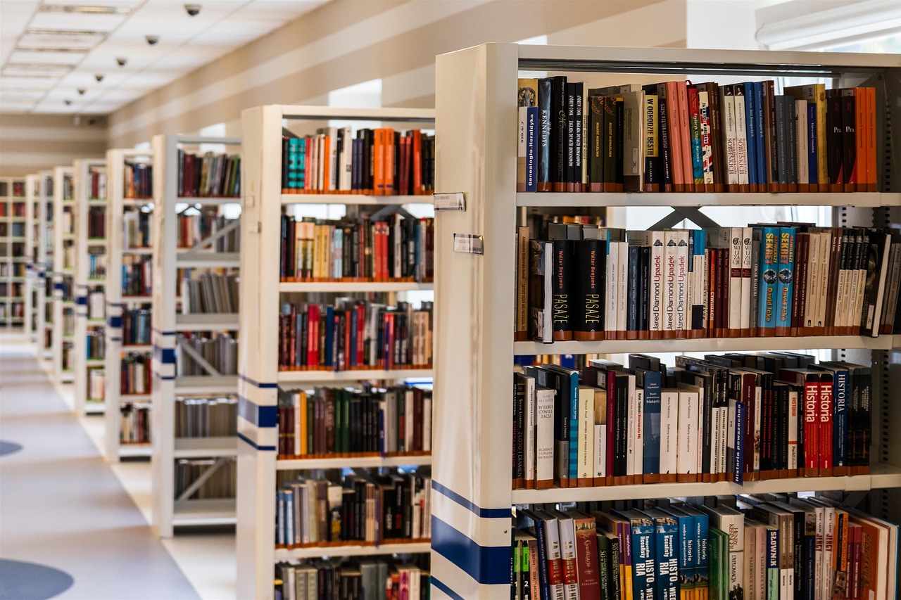 International education opportunities